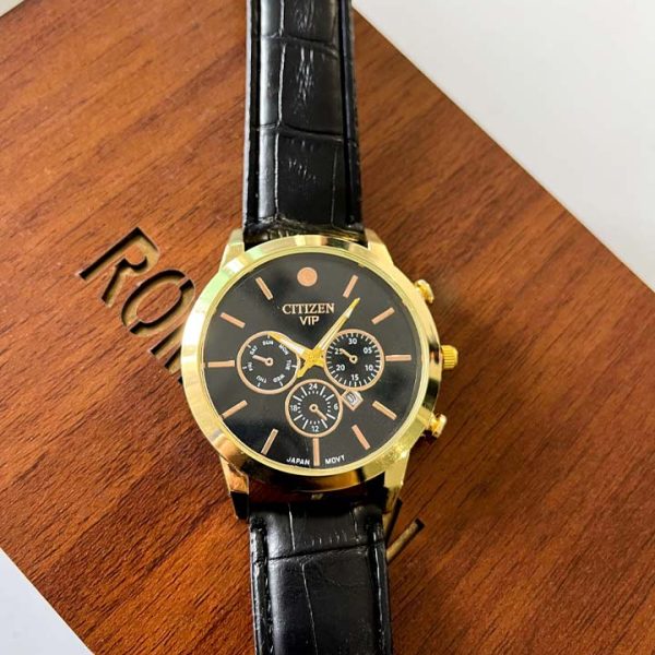 citizen-vip-mens-watch